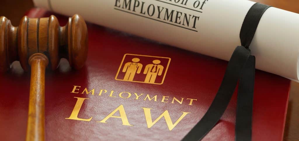 Employment Contracts Solicitor Cork