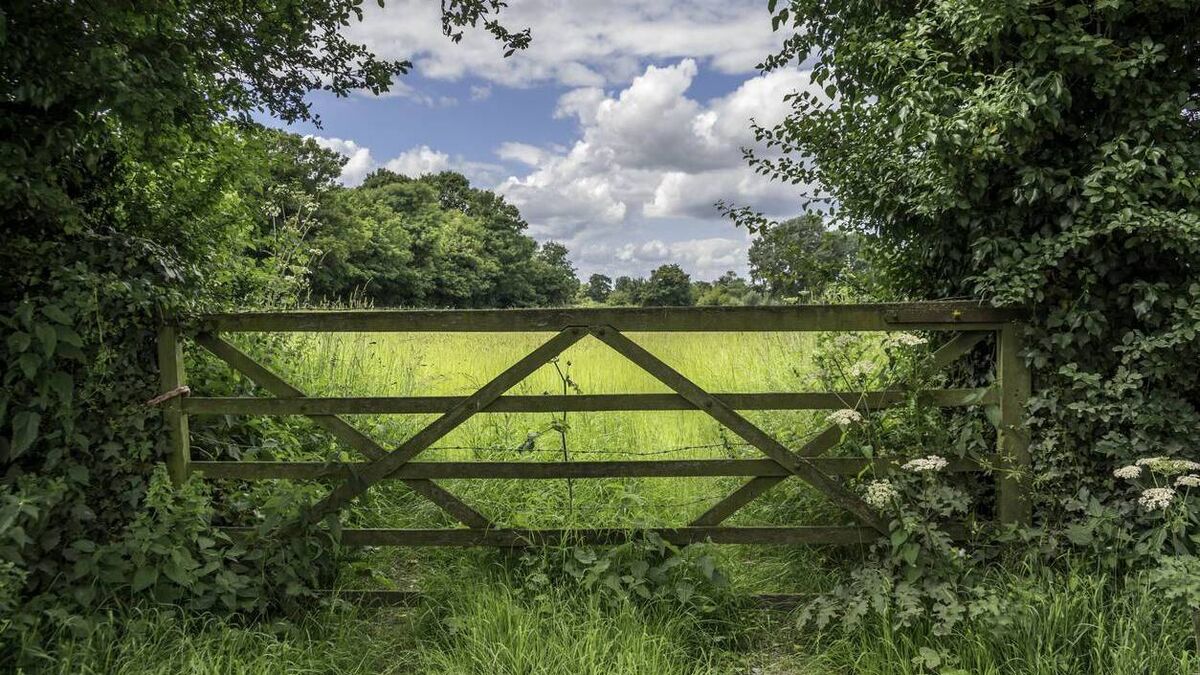 Read more about the article Landowner has blocked my access – do I have right of way?