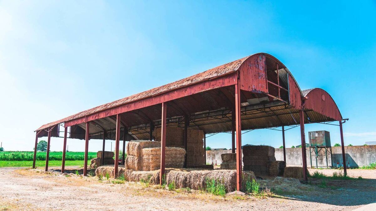 Read more about the article Neighbouring farmer says he owns my shed