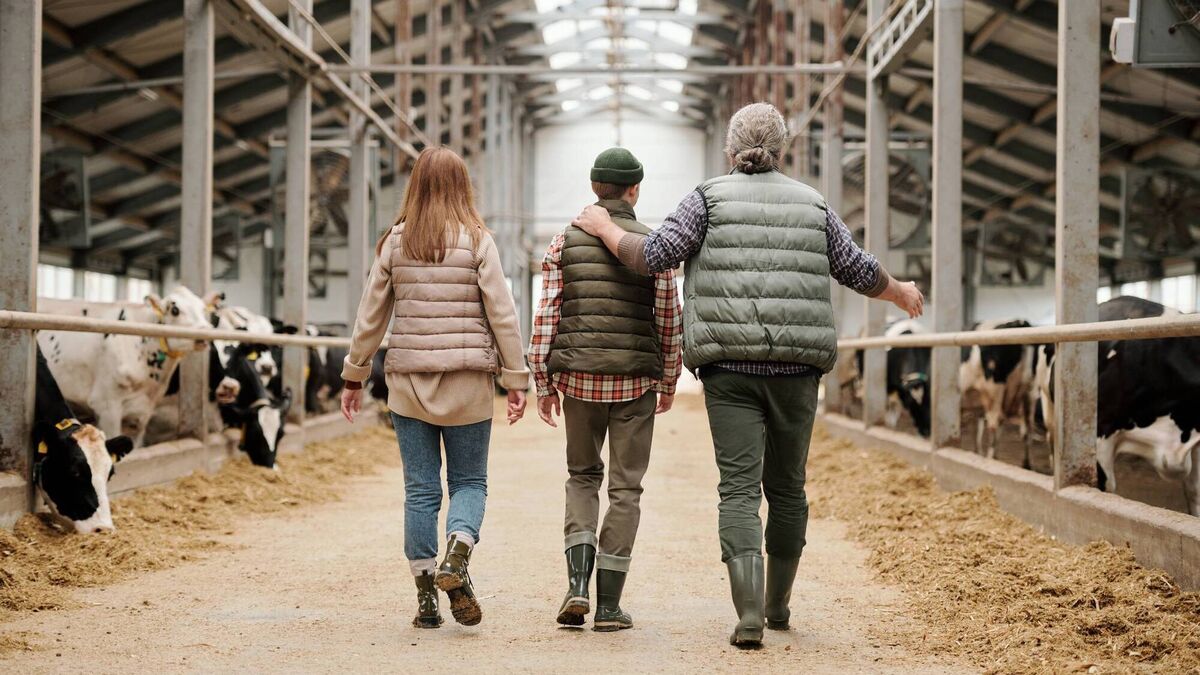 Read more about the article Is it time to think about a farm partnership?