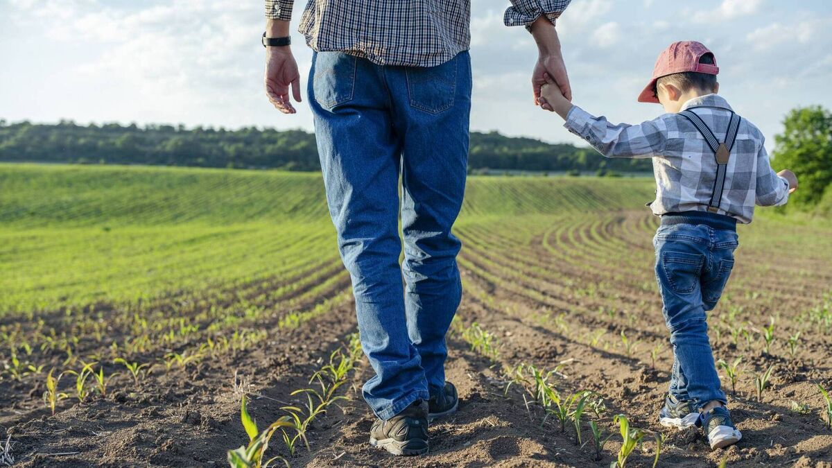 Read more about the article Do children have a right to an inheritance in Ireland?