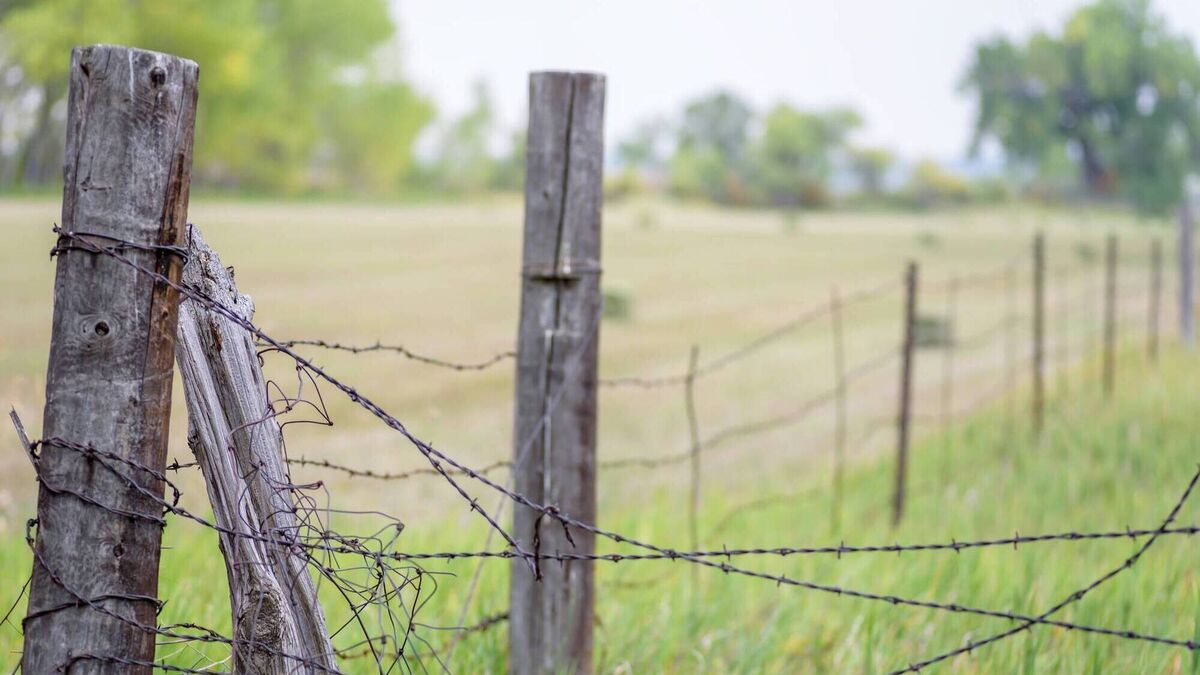 Read more about the article Could I be sued if my cattle break out?