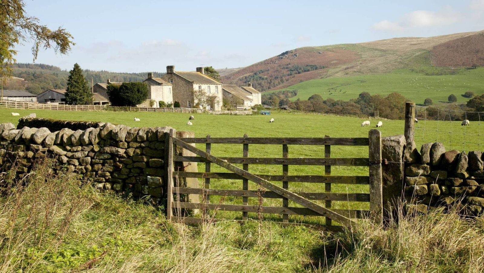 I was promised the farm, but it was left to someone else