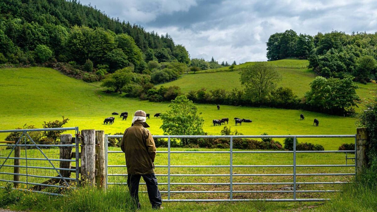 No will, no spouse, no children — who inherits the farm?