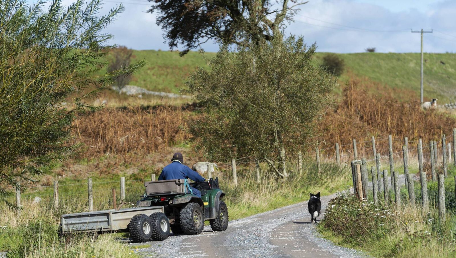 Injuries on a farm following contractor work